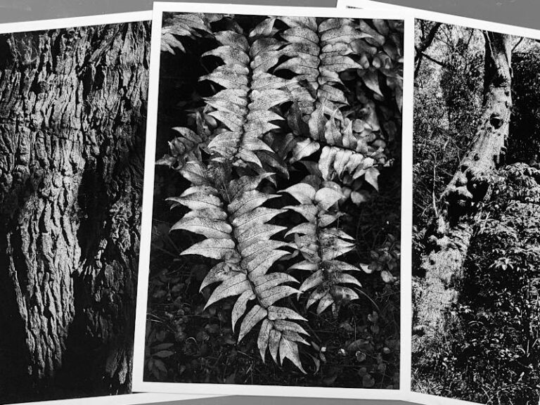 Image shows a set of fine art prints made on Hahnemühle digital art media. Renowned for its exceptional tonal reproduction and archival qualities. Print orders are shipped worldwide with online tracking.