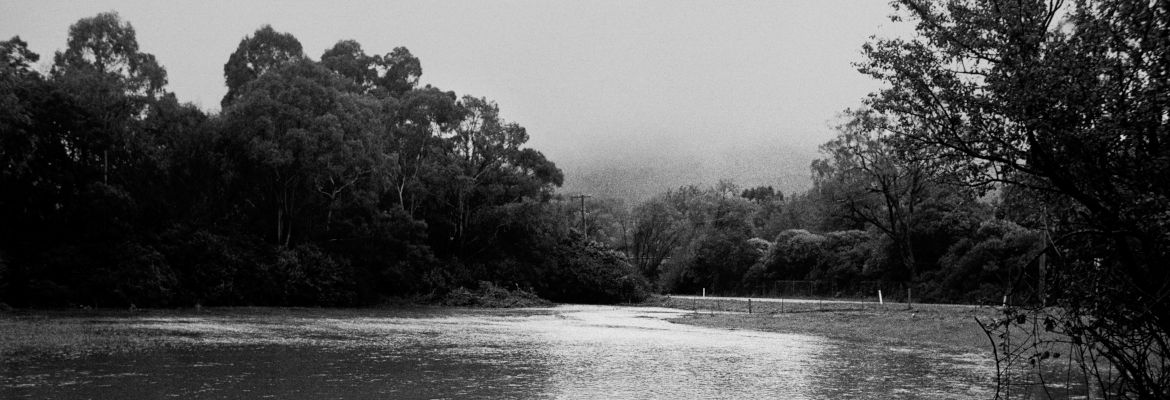 field flooded with water from mittagong creek, trees and mt gibraltar in background engulfed in heavy mist. mount road, bowral, nsw