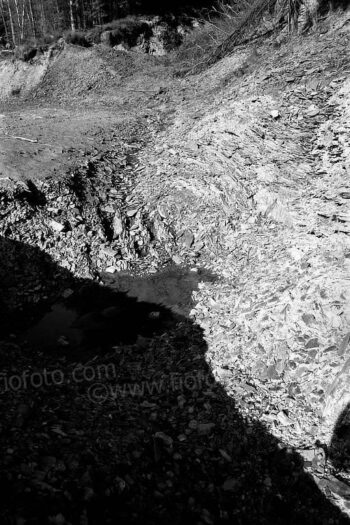Forestry area near Bannau Brycheiniog (Brecon), South Wales, UK. 1975