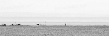 Marshland landscape, Bristol Channel, Coast, South Wales, UK.