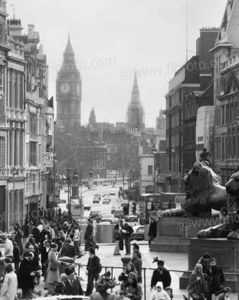 View south towards Whitehall and Parliament from Trafalgar Square, London, UK. 1979. Image shows lion statue, tourist crowds and traffic heading down Whitehall. Palace of Westminster, the Houses of Parliament, including Elizabeth Tower can be seen in background. Cenotaph in middle ground.