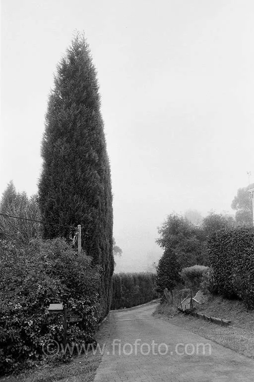 Suburban street, Bowral, NSW. Image shows residential house frontage and driveway from street.