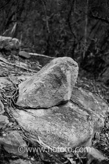 Rock outcrop, Gibbergunyah Reserve, Bowral, NSW