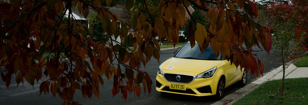 Autumn leaves with yellow car in background. Bowral, NSW