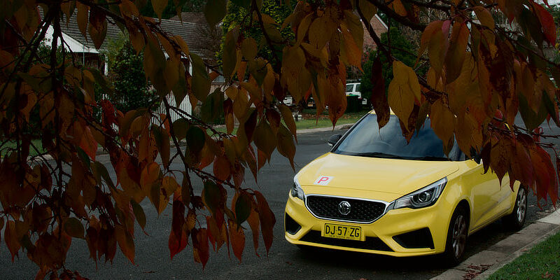 Autumn leaves with yellow car in background. Bowral, NSW