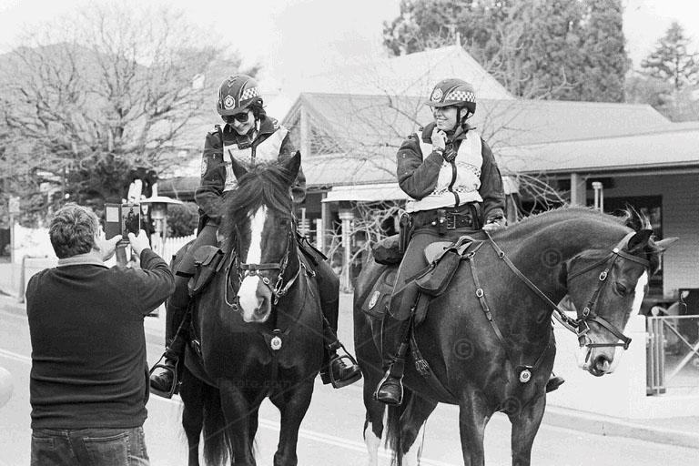 bong bong street 2017, tulip time parade. police horses