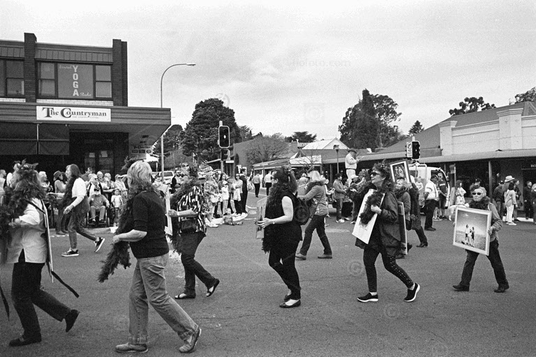 tulip time, bowral 2018