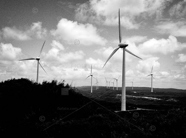 wind turbines near albany, western australia