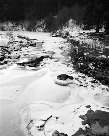 Landscape photograph. Winter snow covered landscapes. Bannau Brycheiniog (Brecon Beacons) National Park, South Wales, UK.